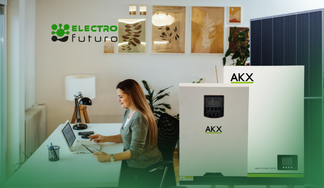 inversor y paneles-electrofuturo